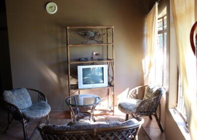 Cozy Sunlit Lounge with Vintage TV and Wicker Furniture