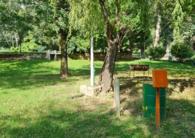 Sunny Garden